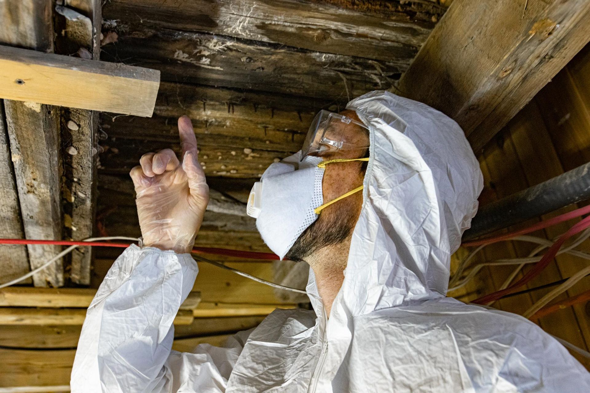 Checking the home for termite damage