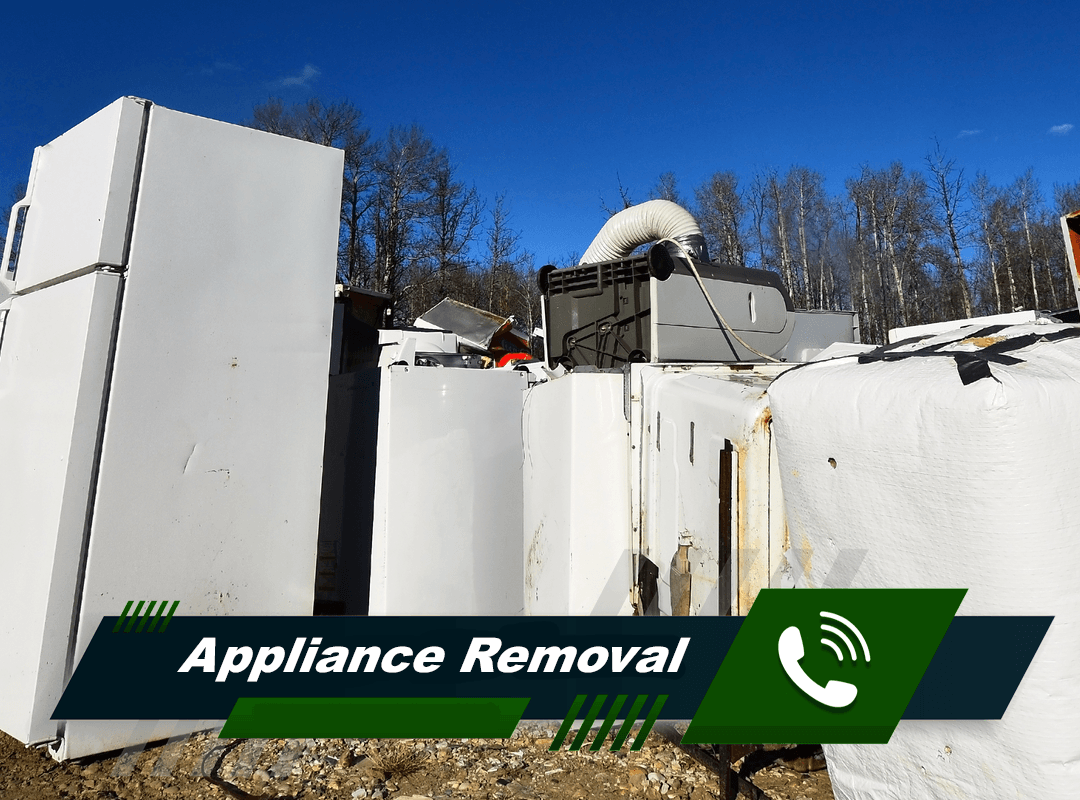 Appliance removal Newton