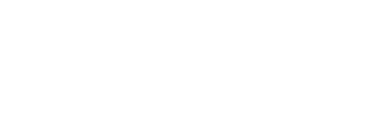 Legal Media Services LLC logo