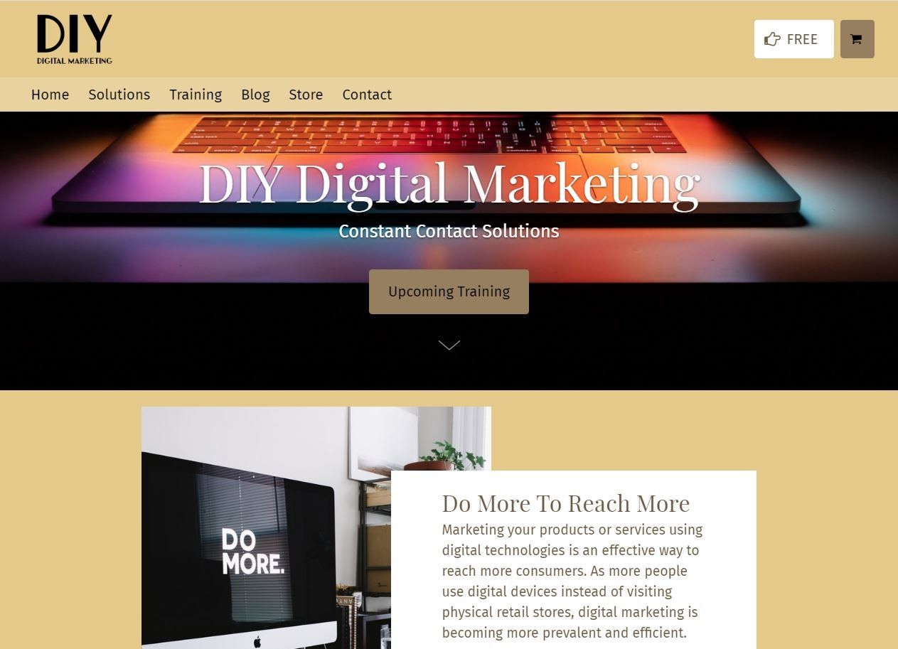A screenshot of the website for diy digital marketing