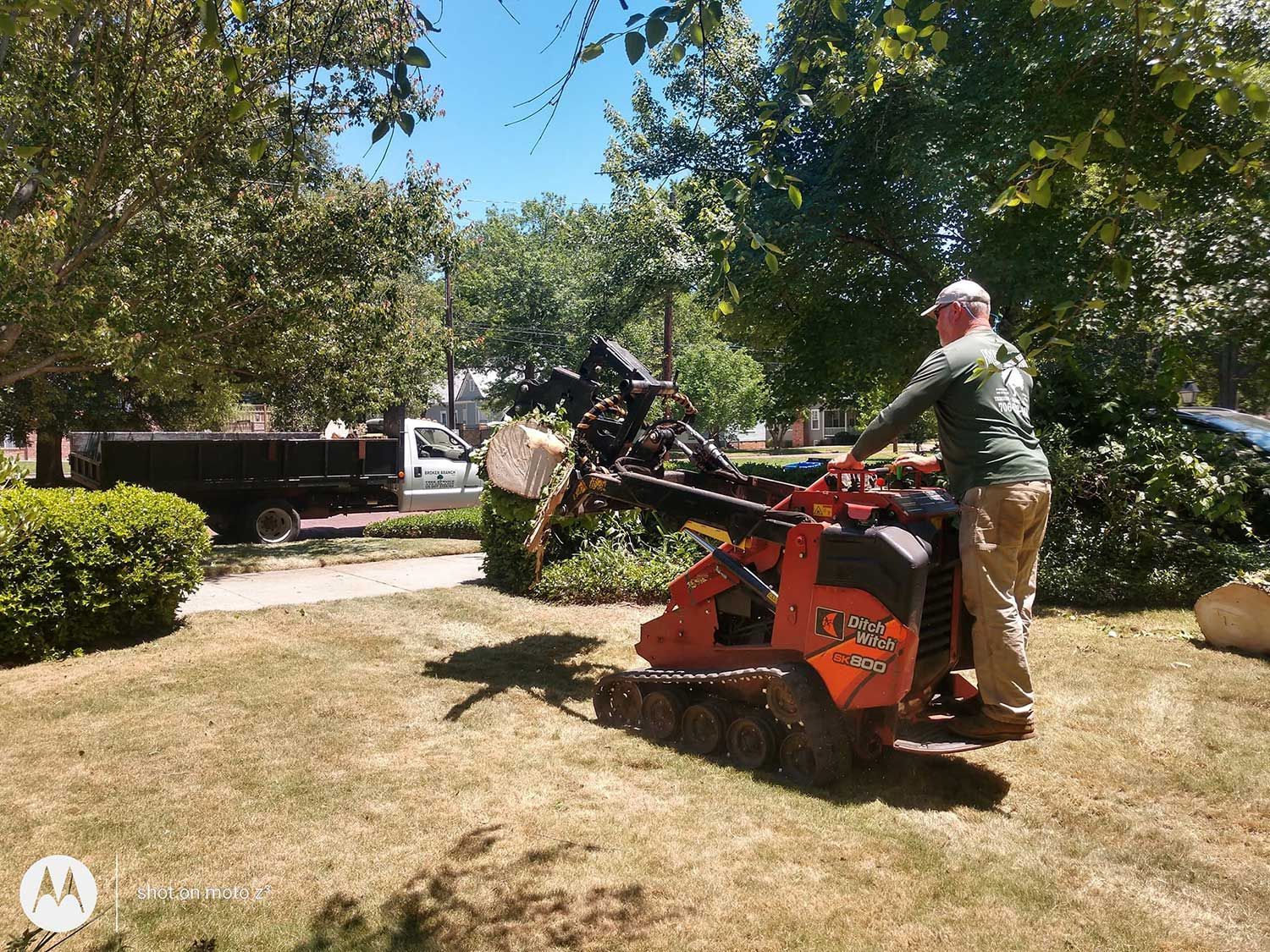 Trees in Backyard — Smiths, AL — Broken Branch Tree Service LLC