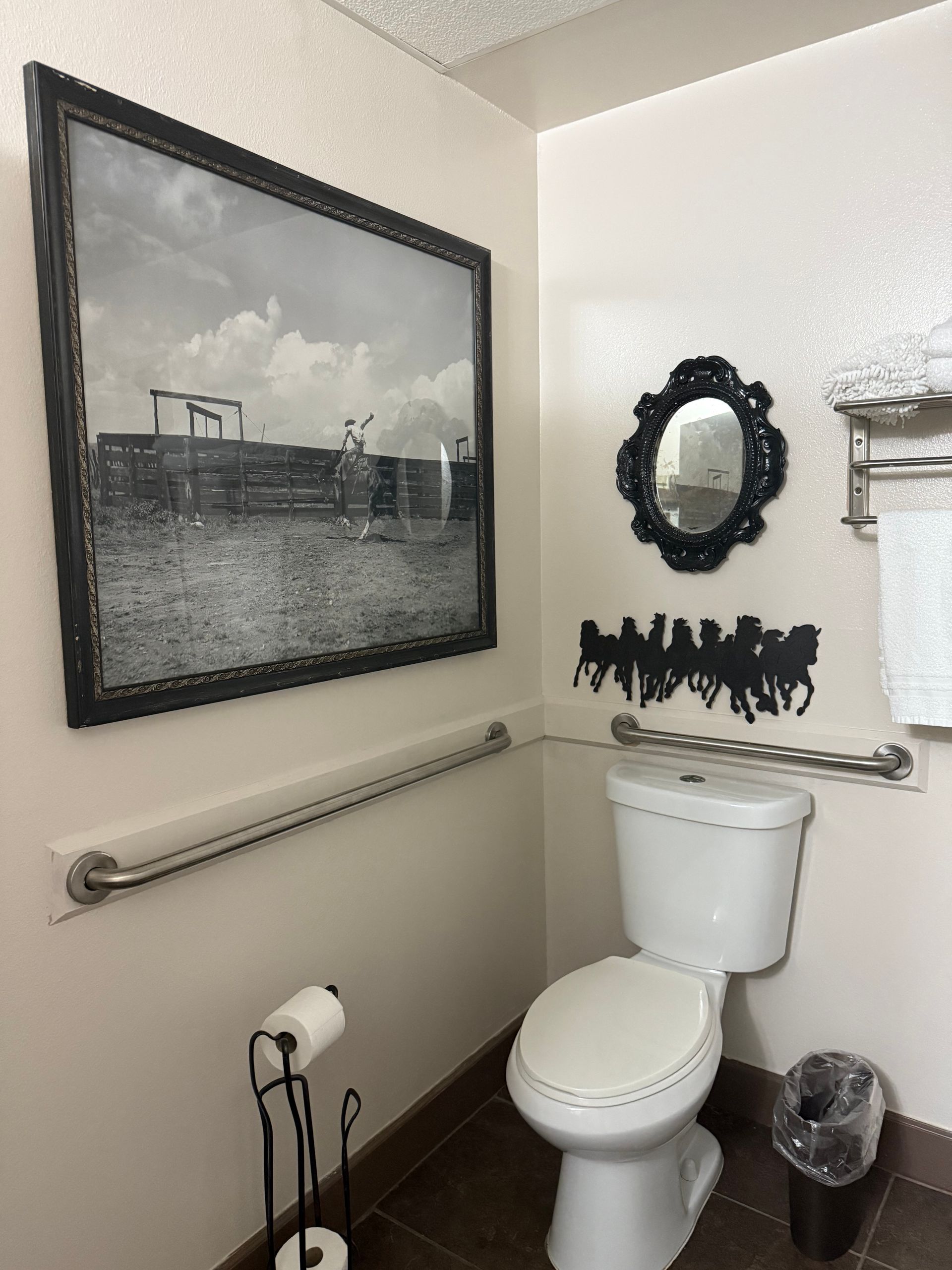 A bathroom with a toilet a mirror and a picture on the wall