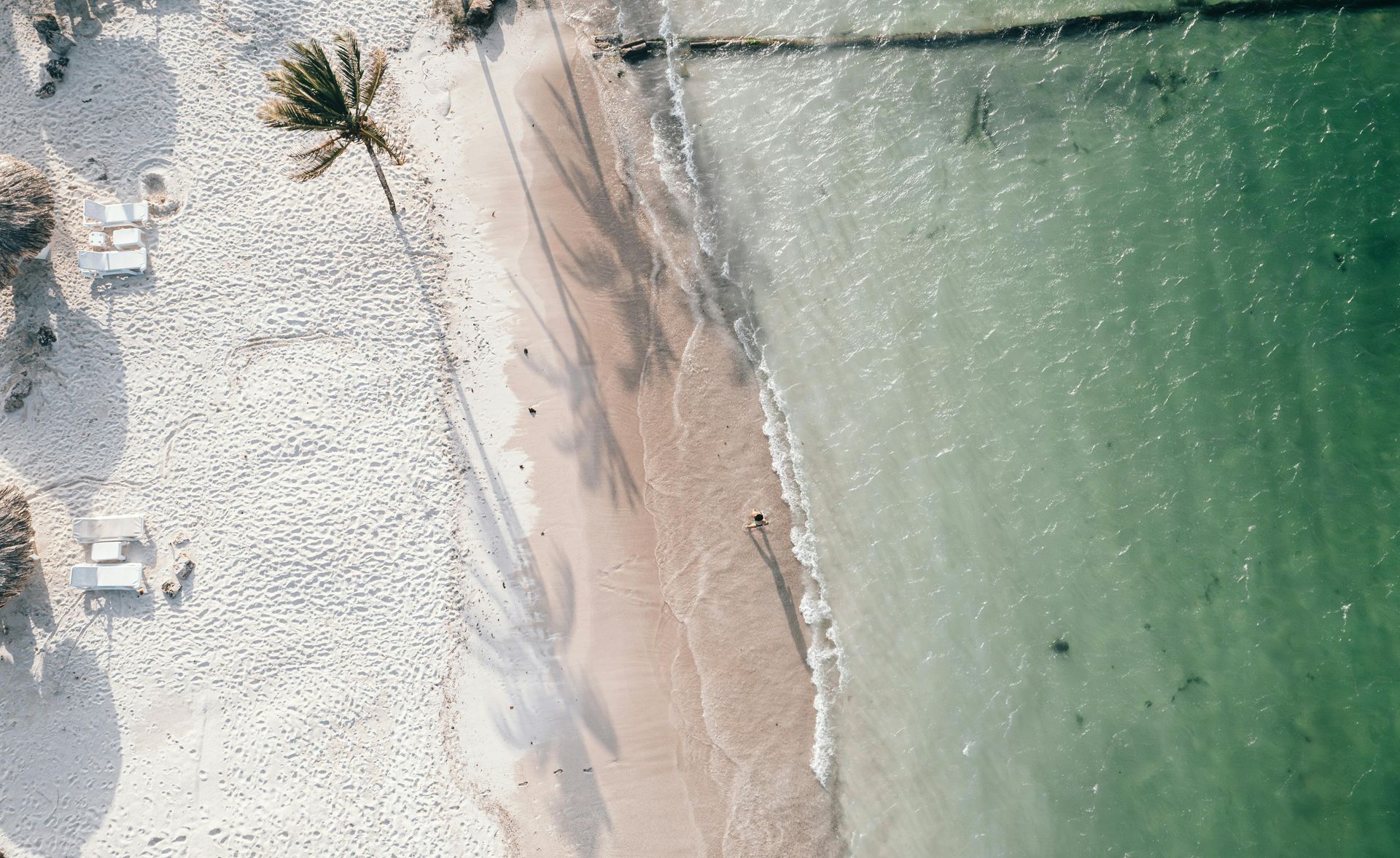 Una vista aérea de una playa con palmeras y un cuerpo de agua.