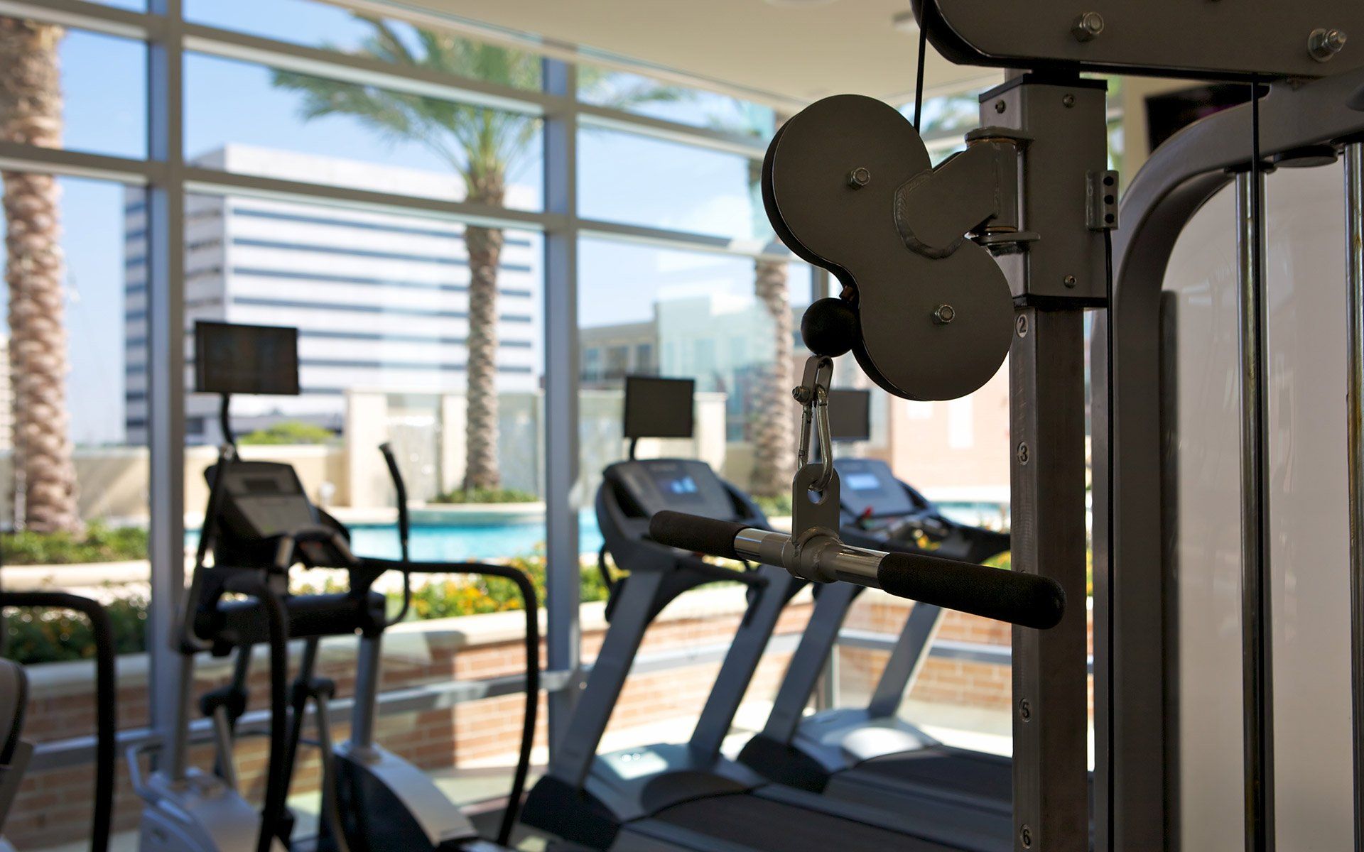 Amazing Gym — Saint Johns, FL — First Coast CMS