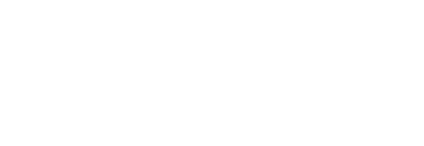 Prestige Homes of Texas logo