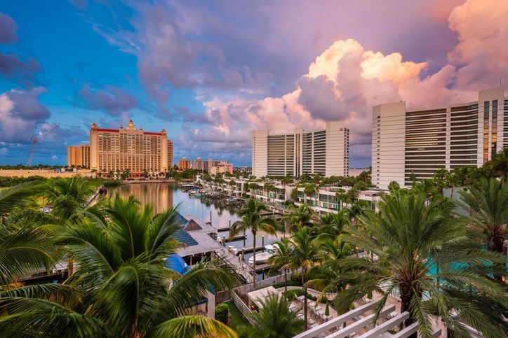 An aerial view of a tropical city with palm trees and buildings.