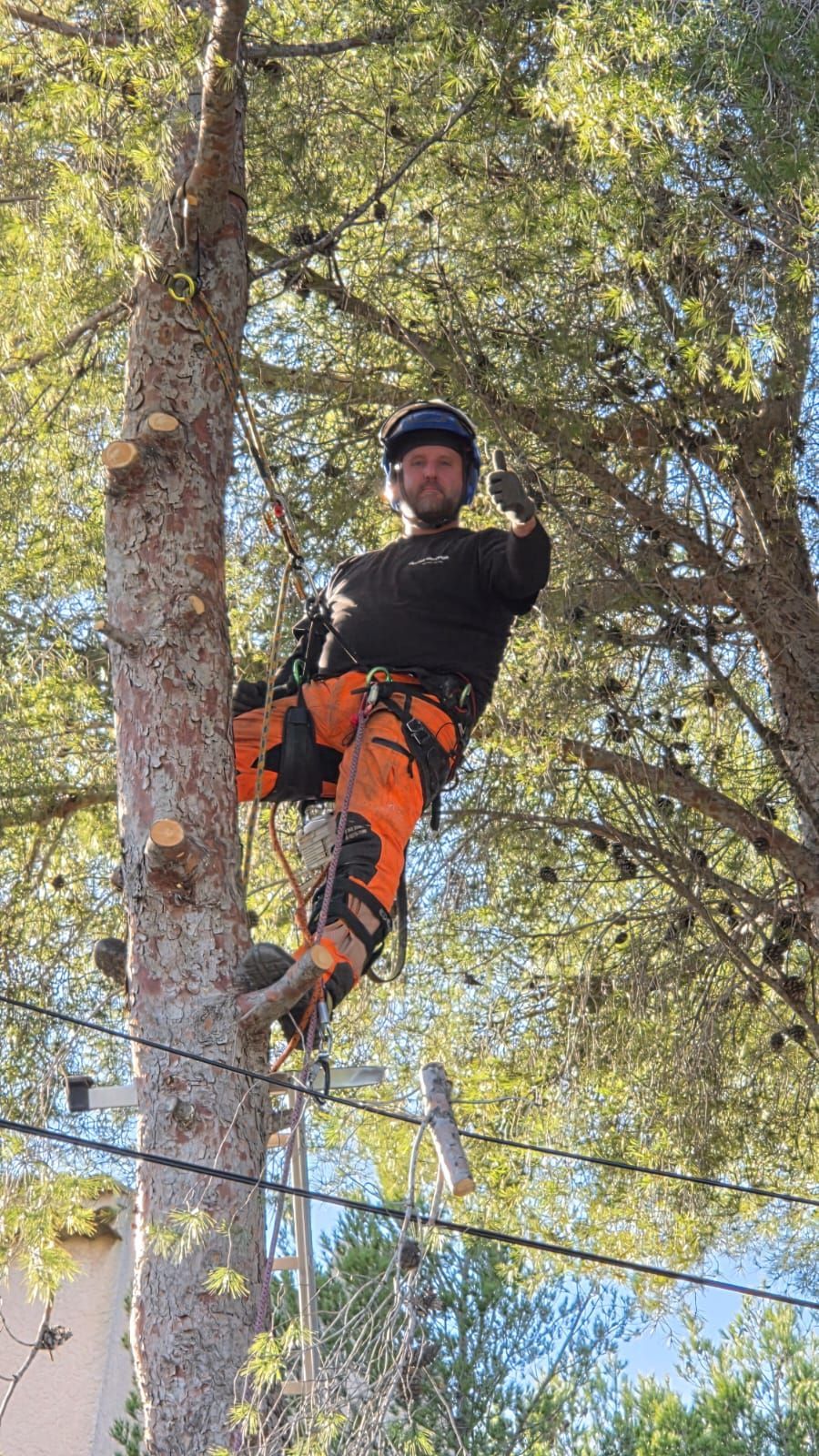 Arboriste dans un arbre, vêtu d'un pantalon de travail orange et d'un casque. Il lève le bras, tenant ses outils. Journée ensoleillée.