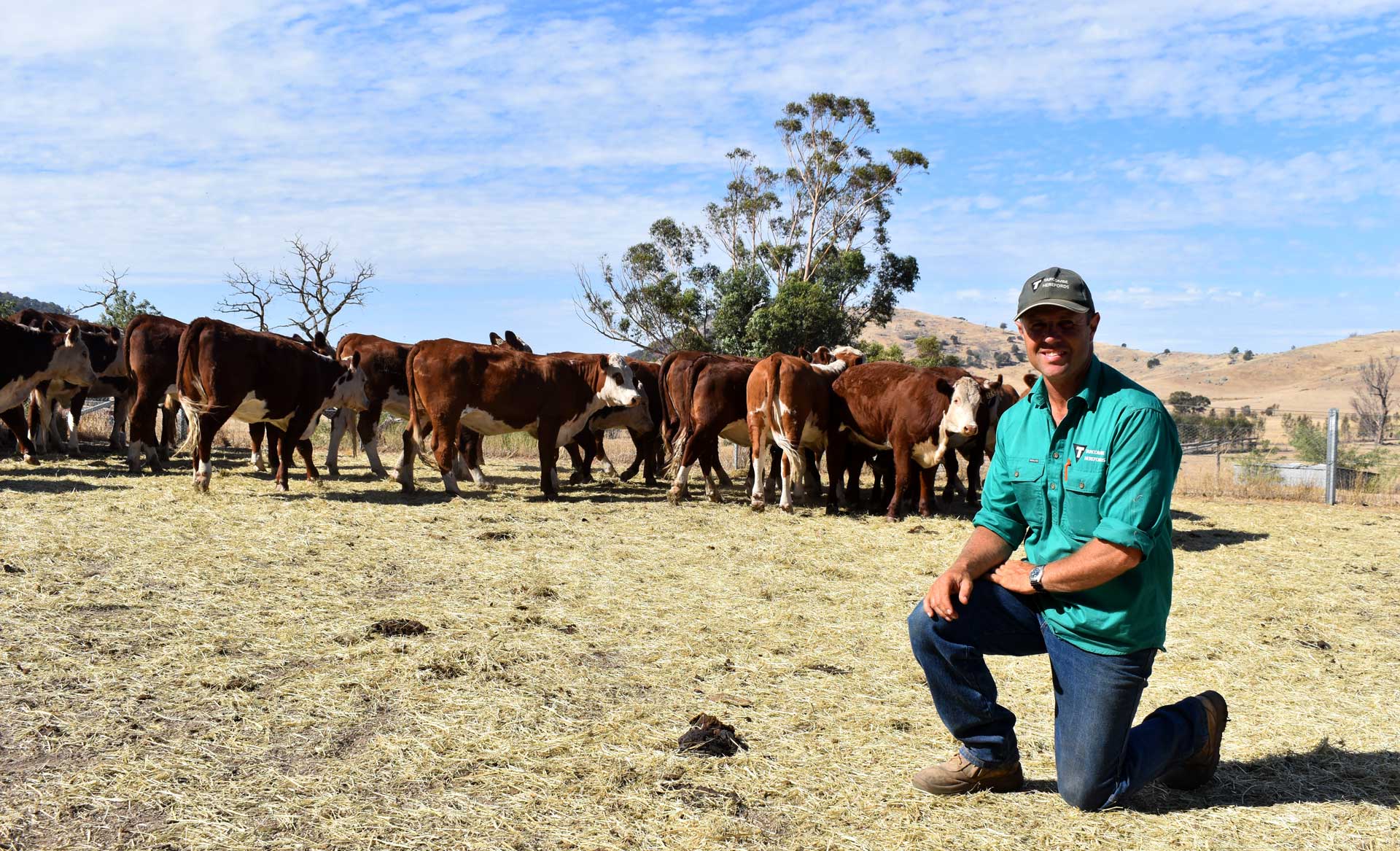 Livestock News & Updates Stud Beef Victoria
