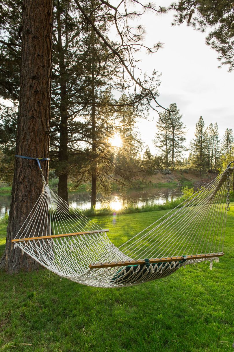 A hammock is hanging from a tree in the grass.