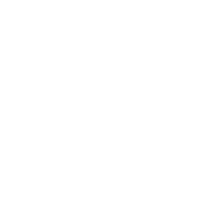 LOGO VENSAA