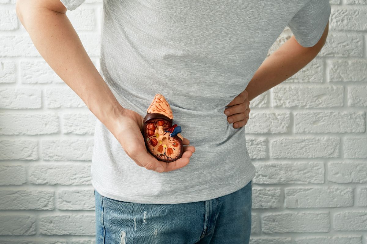 jato-urinario-fraco-causas-dr-antonio-rocha-junior-urologista-teresina-piaui