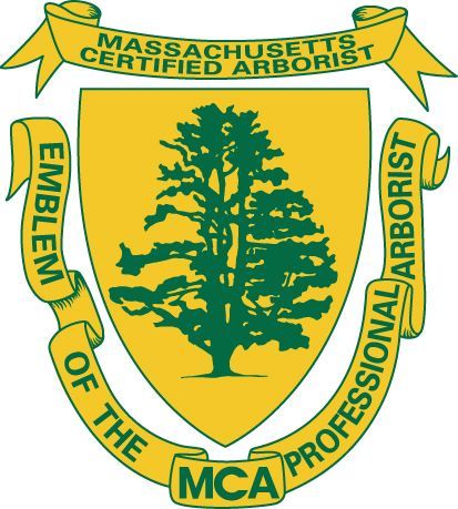 Massachusetts certified arborist logo