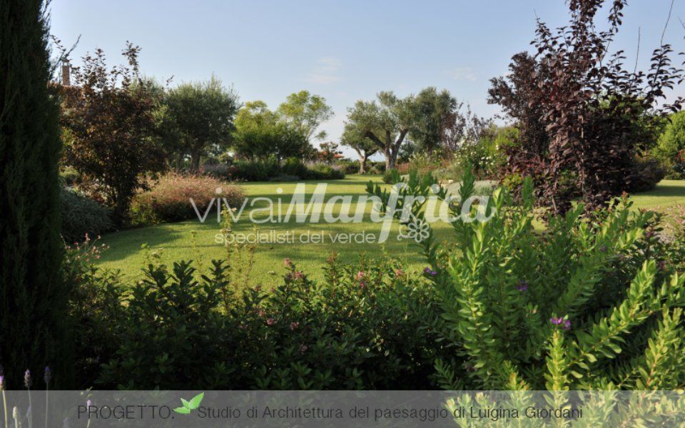 giardino di campagna con vari alberi