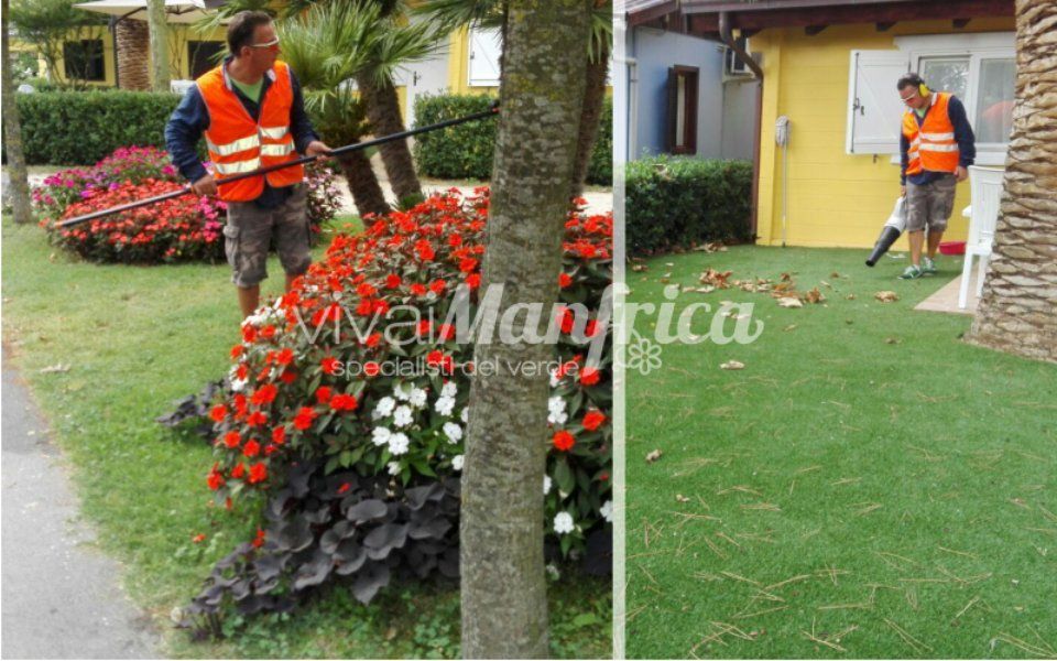 manutenzione ordinaria giardino