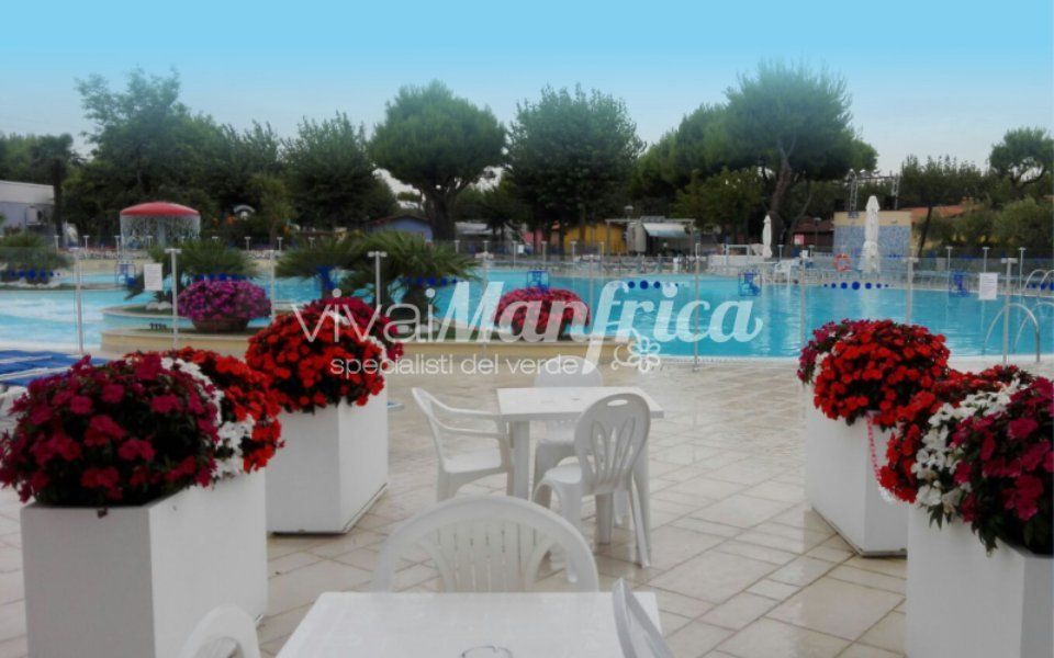 piscina pubblica circondata dal verde