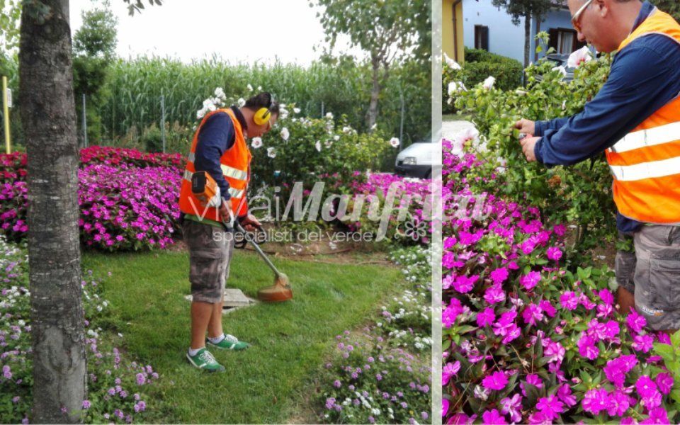 manutenzione prato giardino