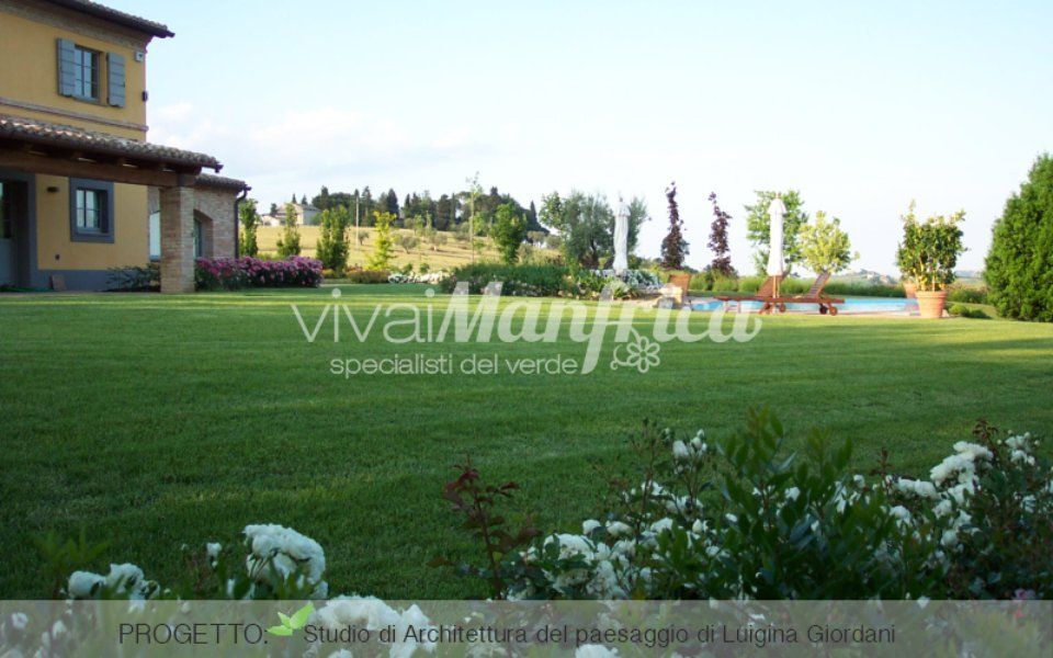 grande distesa di prato con piscina