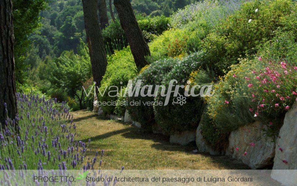 viale alberato con arbusti e siepi