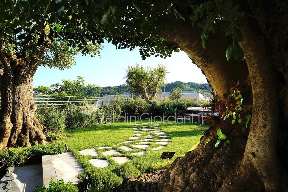 giardino con alberi secolari