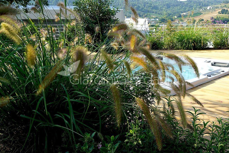 terrazzo con piscina idro-massaggio e aree verdi