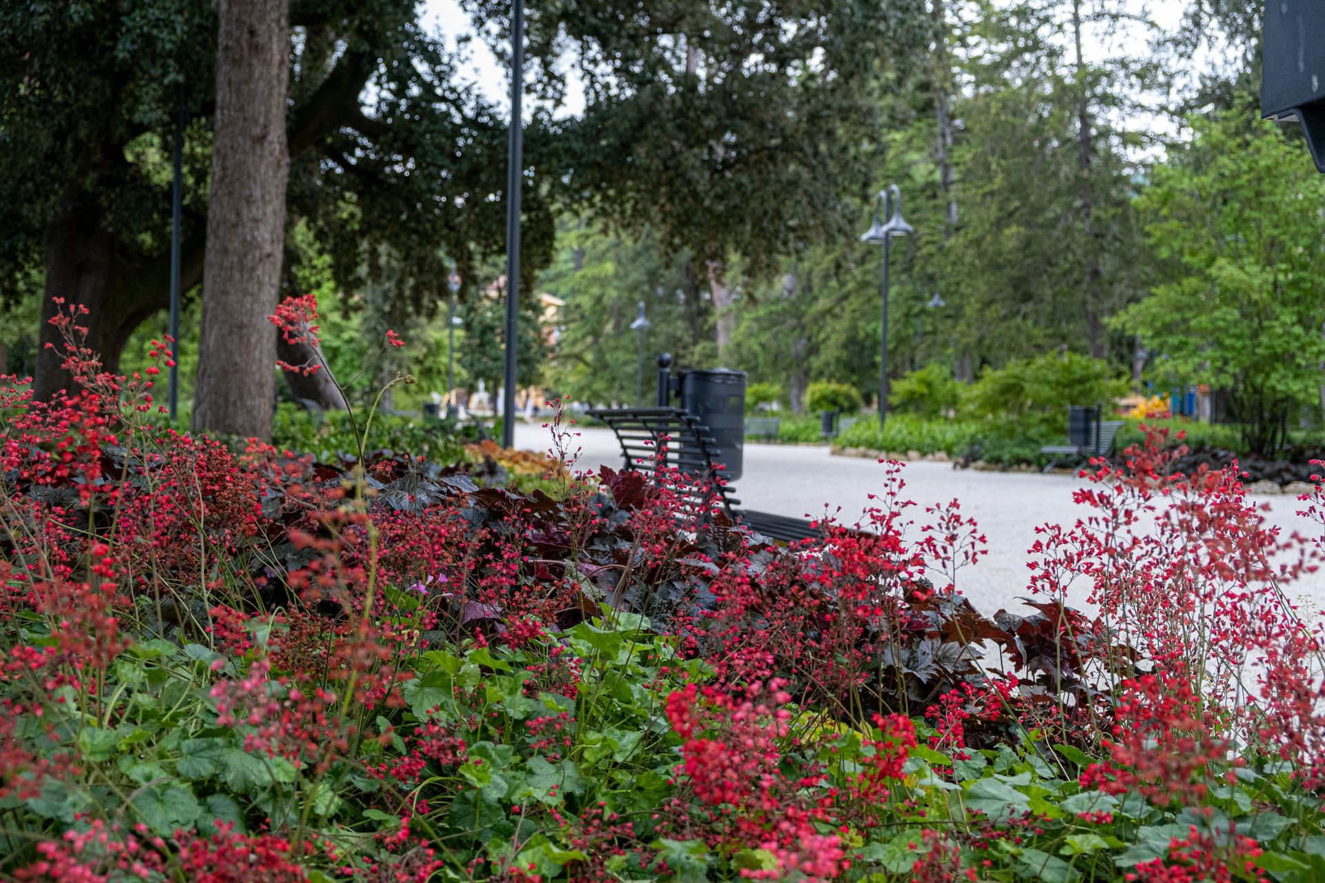 Giardini Coletti - San Severino - foto 19