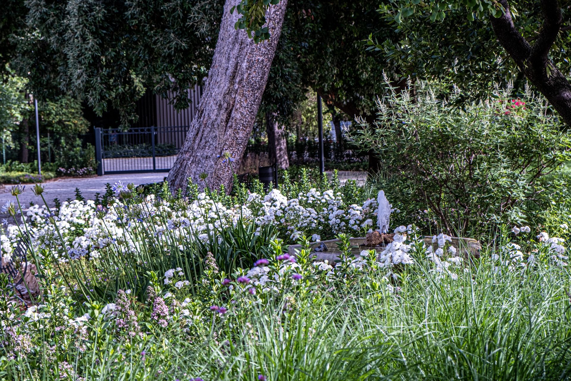 Giardini Coletti - San Severino - foto 17