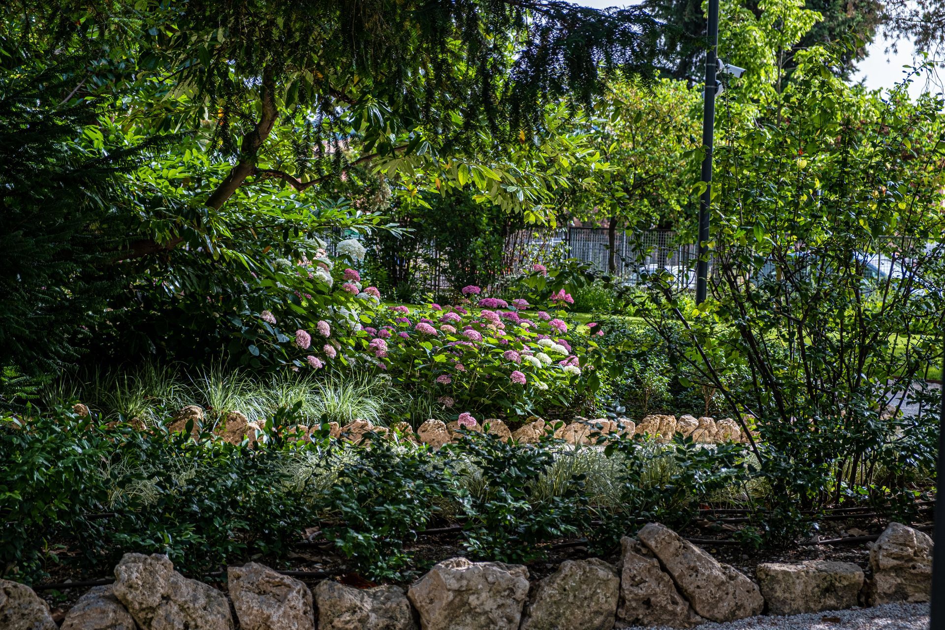 Giardini Coletti - San Severino - foto 01