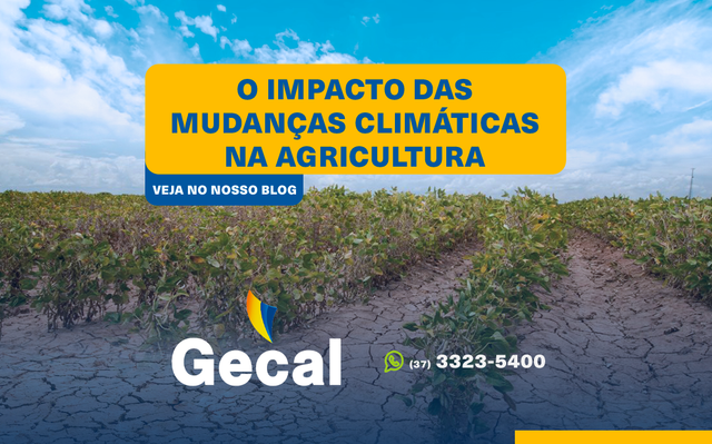 efeitos das mudanças climáticas na agricultura