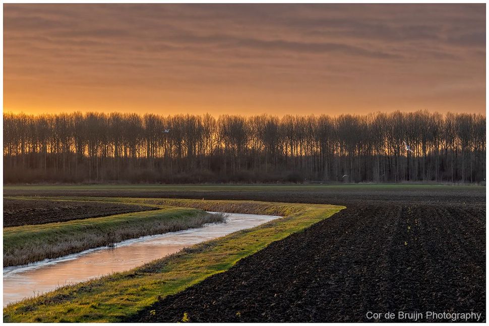 Sunset over plowed fields, with a tree line in the distance and a water channel reflecting the golden light.