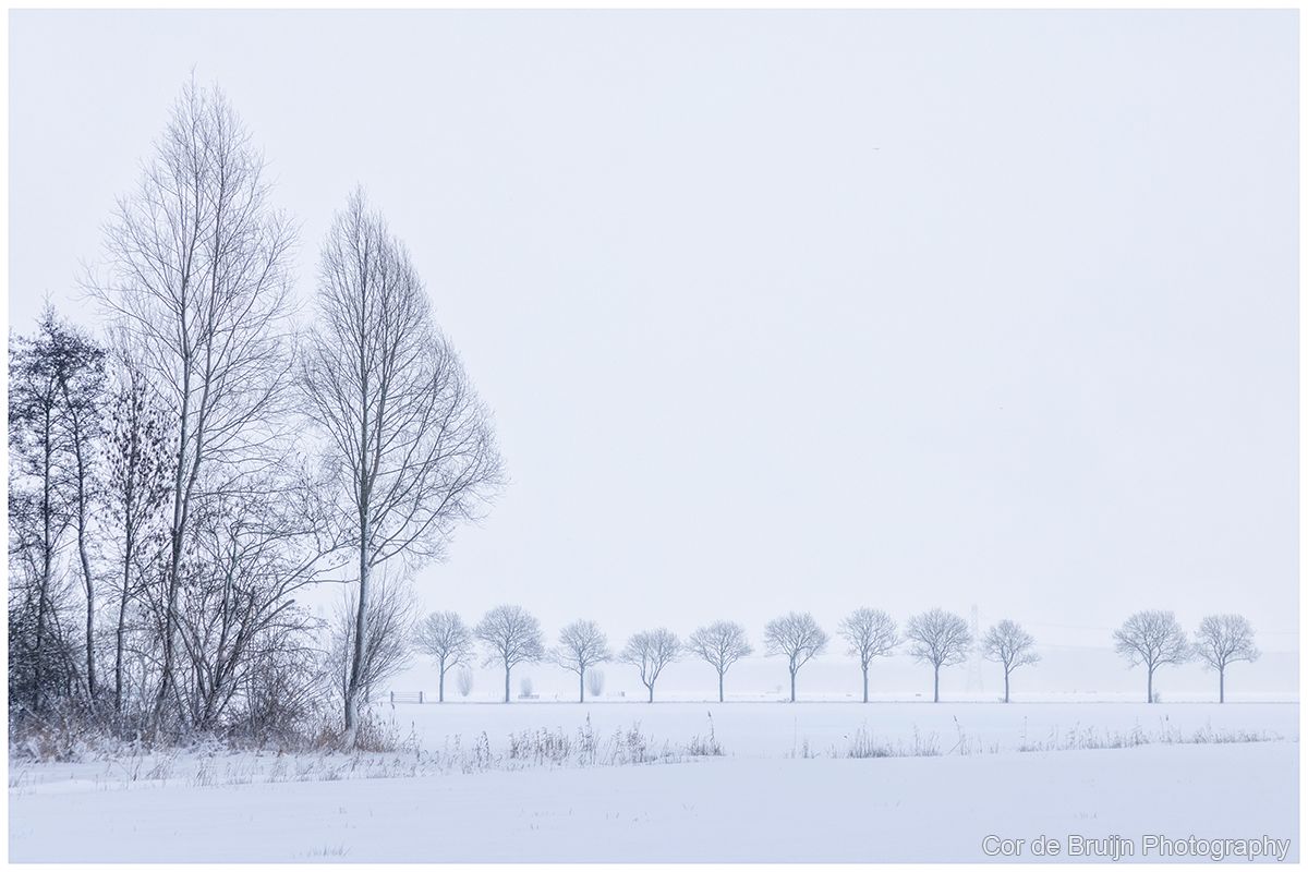 Snow-covered field and line of bare trees on a gray, overcast day.