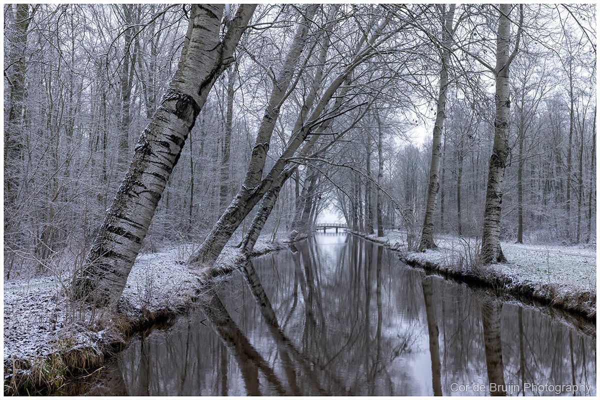 Snowy canal lined with frosted trees, reflecting in the still water.