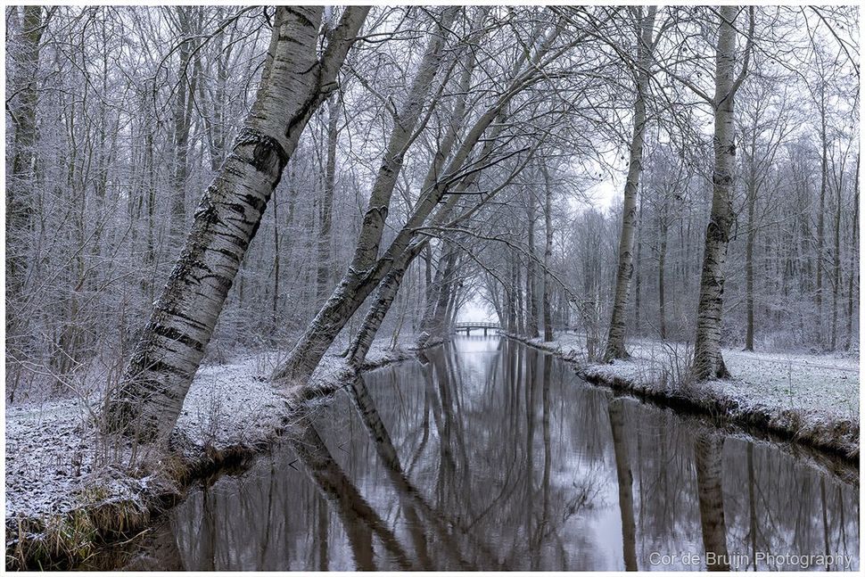 Snowy canal lined with frosted trees, reflecting in the still water.