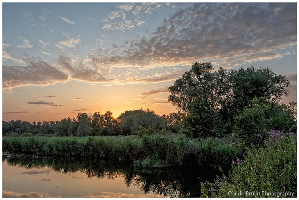 A sunset over a river with trees in the foreground and a cloudy sky in the background.