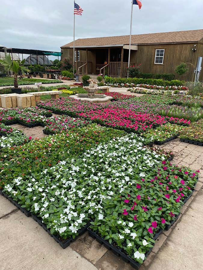 A bunch of flowers are sitting in front of a house.