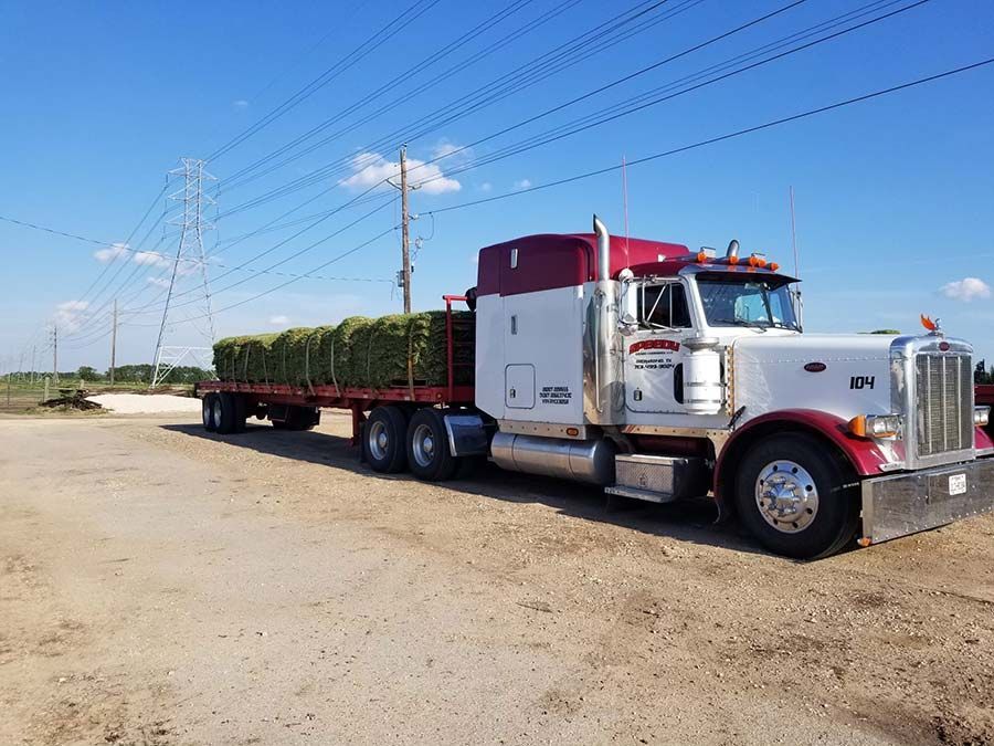 A semi truck is carrying hay on a trailer.