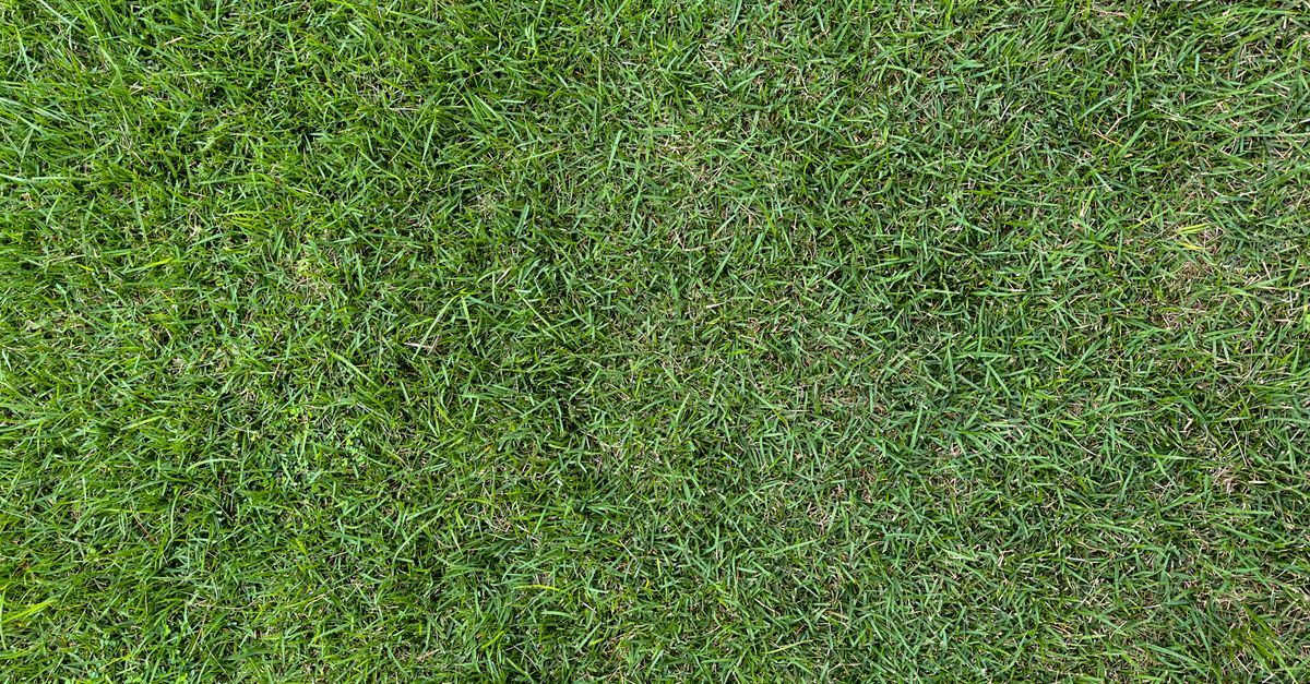Fresh sod and a prepared Houston yard ready for summer installation and watering.