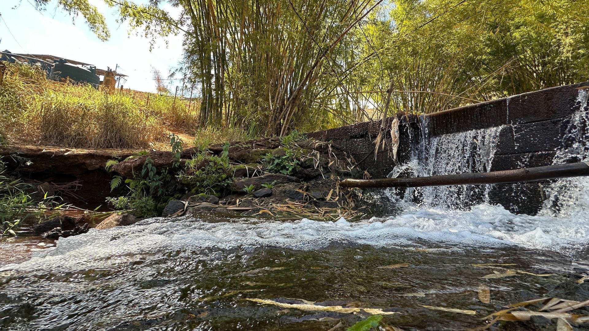 rio de peie