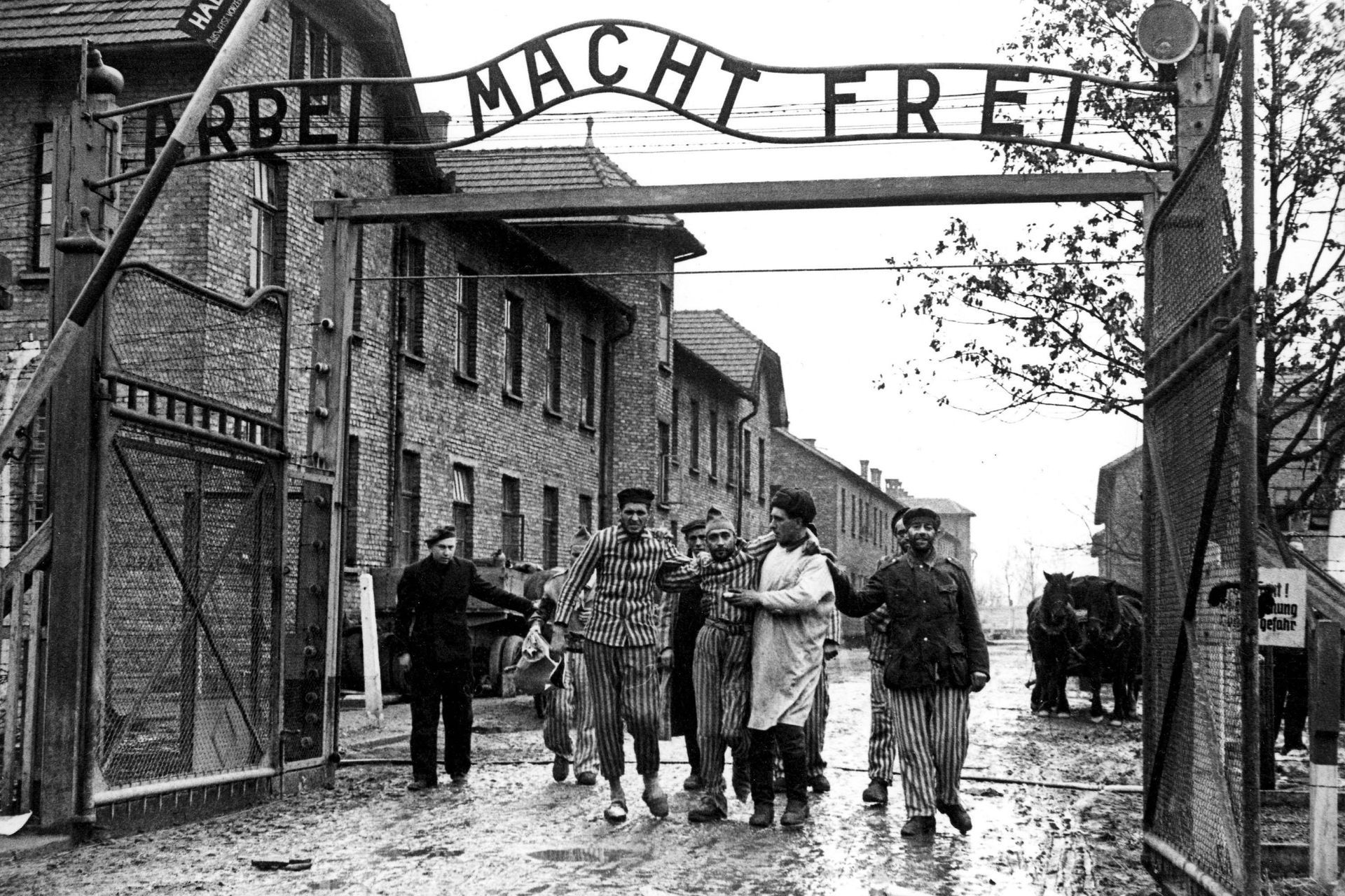 Remembrance Day, Liberation of Auschwitz 80th Anniversary - The motto 