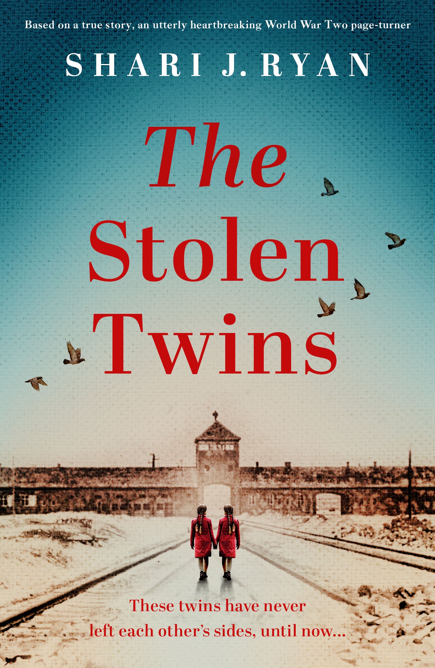 The Stolen Twins Shari J. Ryan Historical Fiction