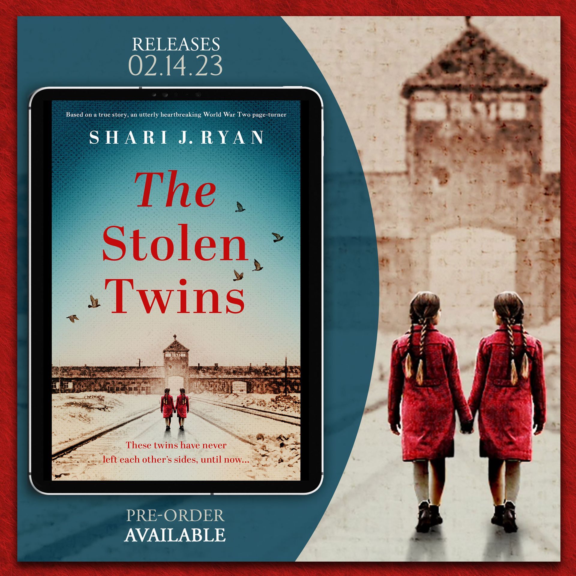 A book called the stolen twins by shari j. ryan