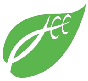 Leaf | Affordable Car Care Llc