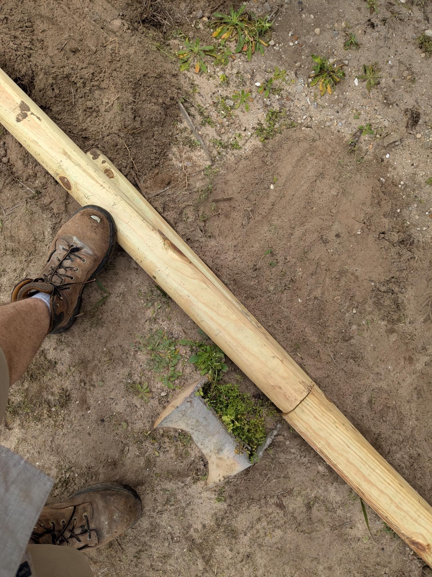 Person's foot on a wooden beam, near a small plant pot, in an outdoor setting.