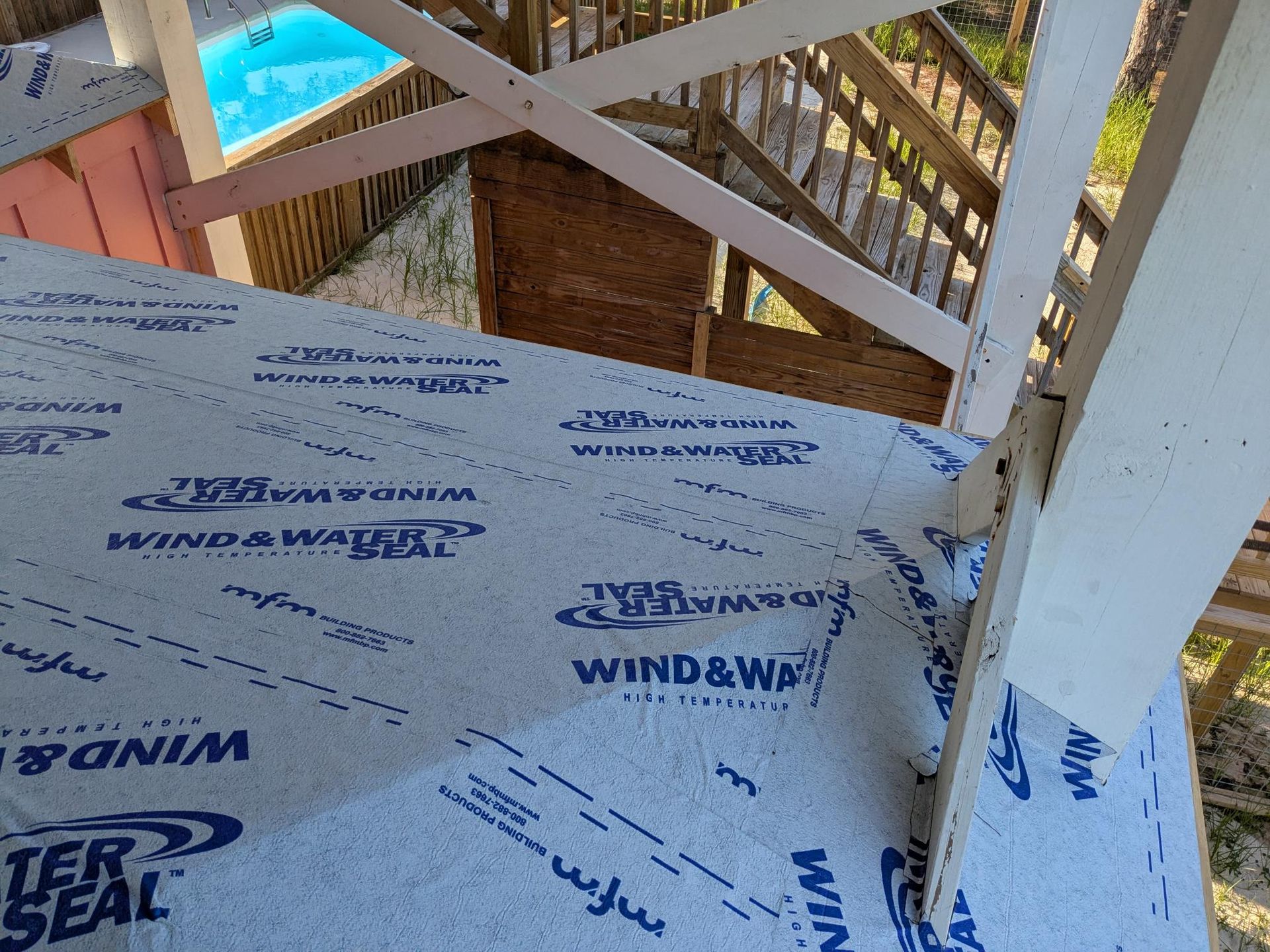 Blue wind and water seal on a deck, with a pool and wooden staircase in the background.