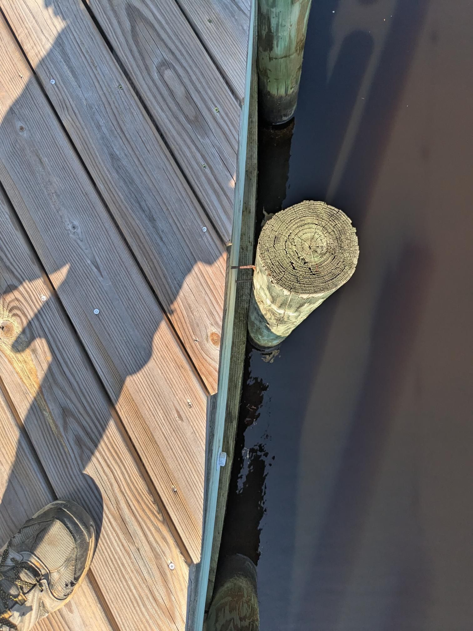 Wooden dock edge and piling next to dark water.