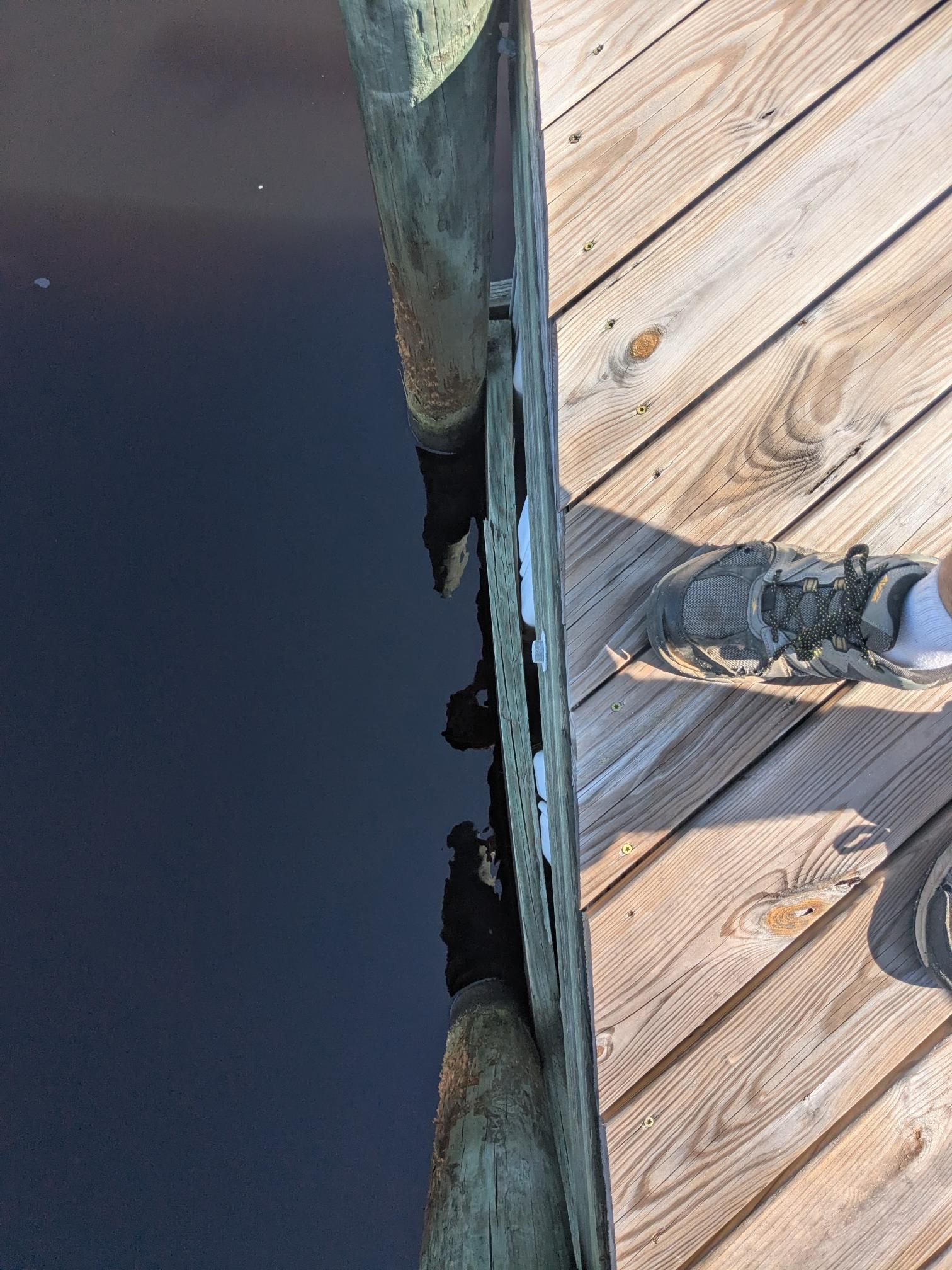 Dockside view with water, weathered wooden posts, and a foot in a gray shoe.