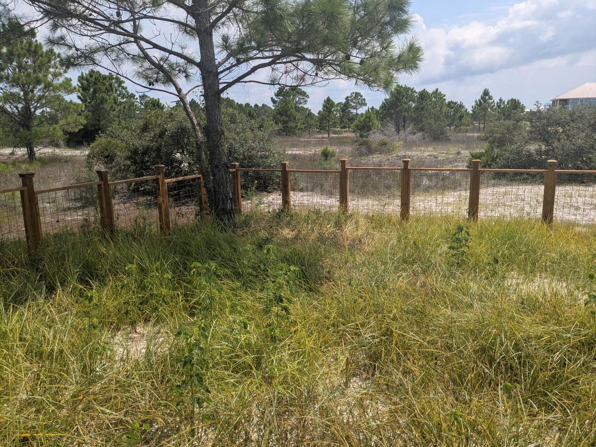 Wooden fence with rope between posts in a field of tall grass and trees under a cloudy sky.