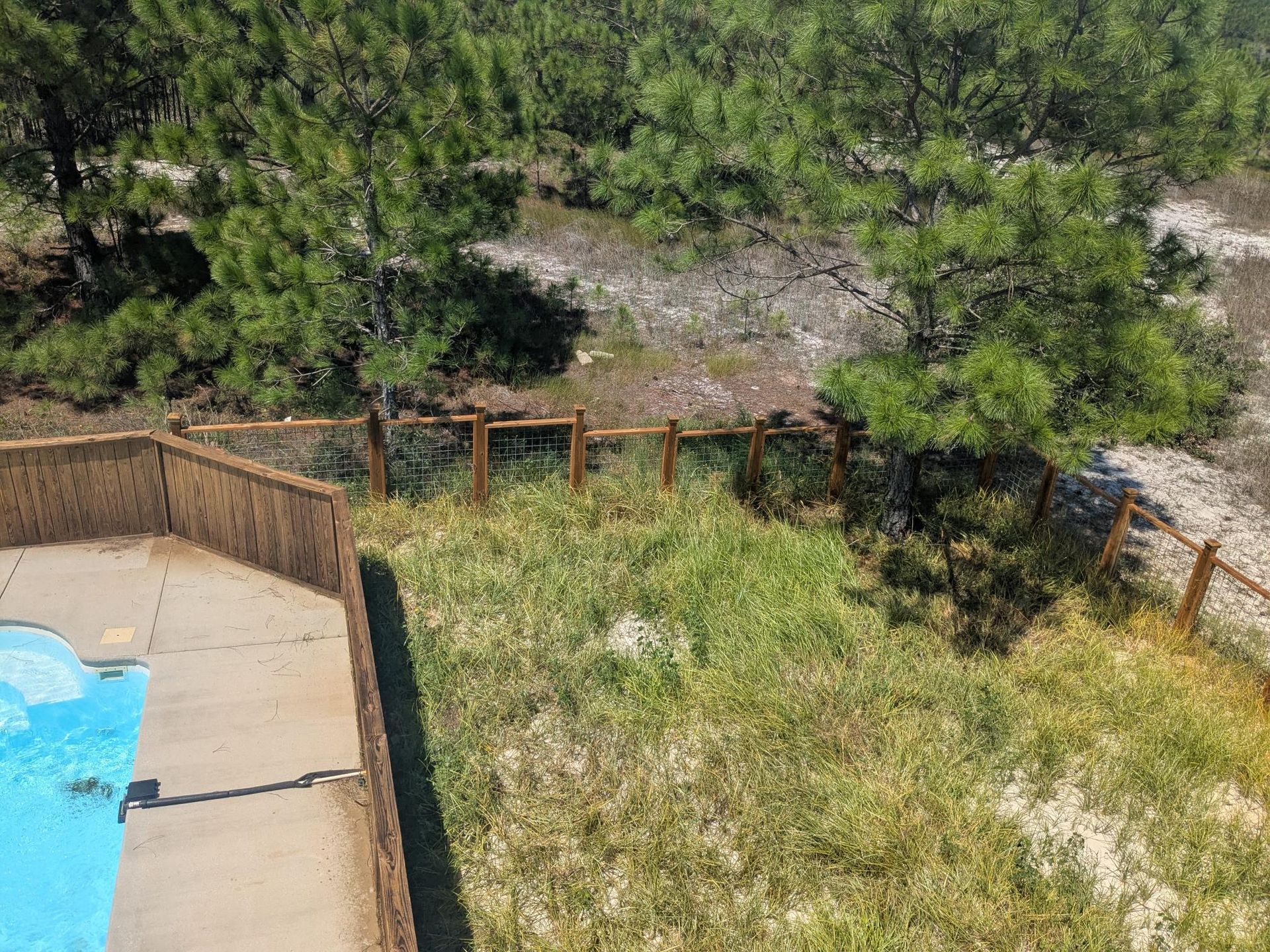 A backyard with a pool, fence, and vegetation, including trees and grass.