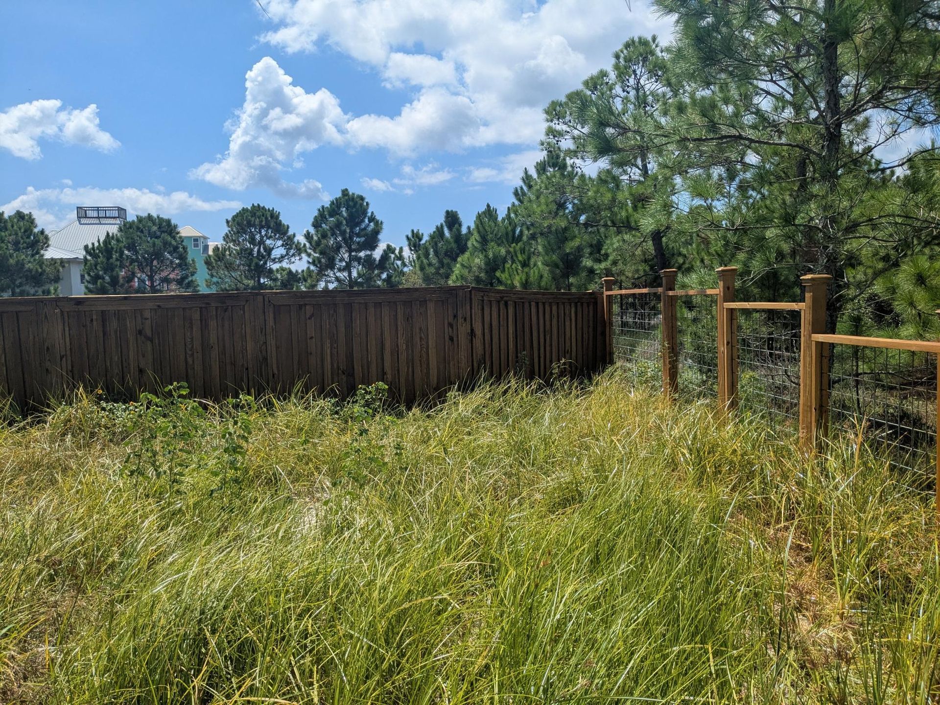 Grassy field with a wooden fence and trees, blue sky with clouds in the background.
