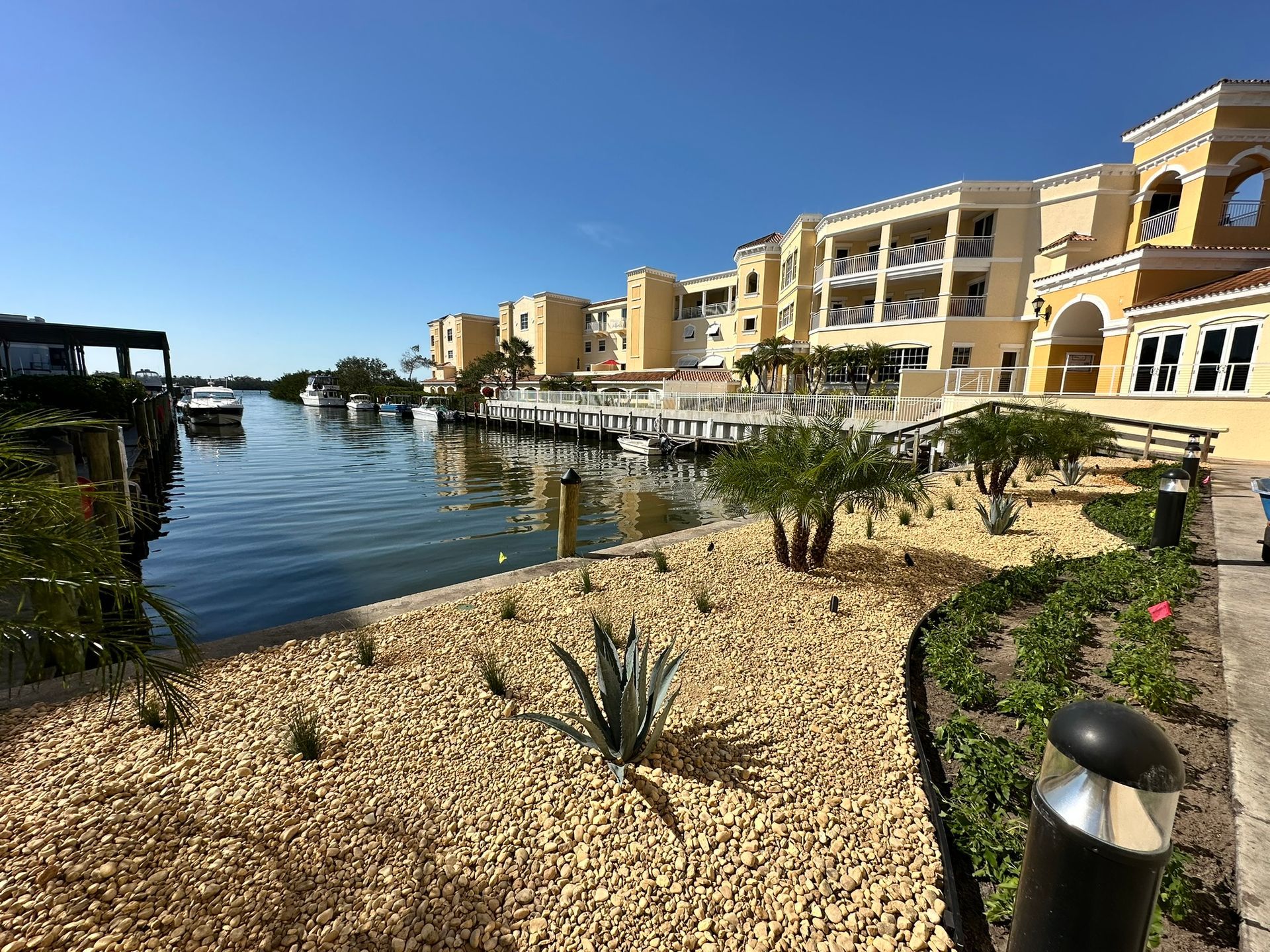 Waterfront landscape installation with palm trees and low maintenance plantings at a Sarasota County condominium property