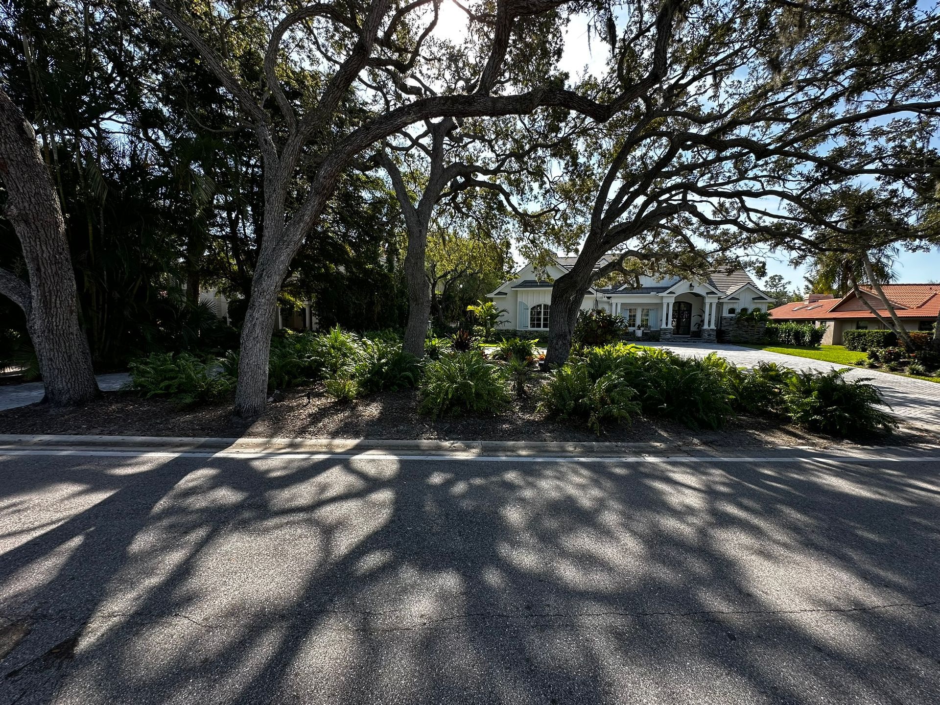 Front yard before landscape renovation in the Landings 


Existing landscape before complete redesign in The Landings